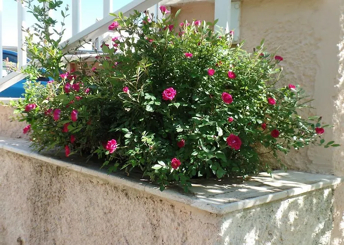 4m Апартаменты Млини